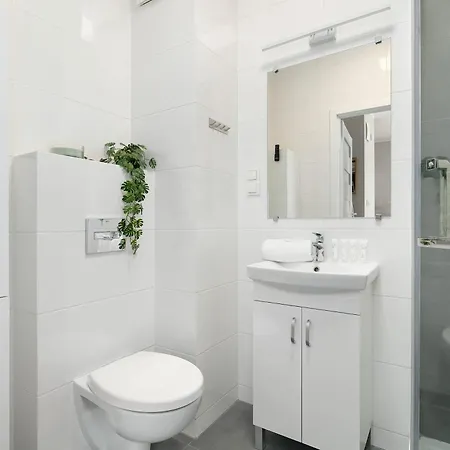 Bright In With Parking, Balcony And Desk By Renters